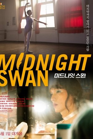 미드나잇 스완