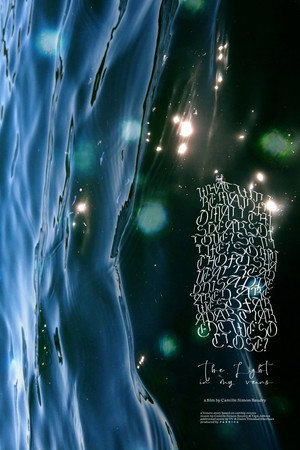 The Light in my veins poster