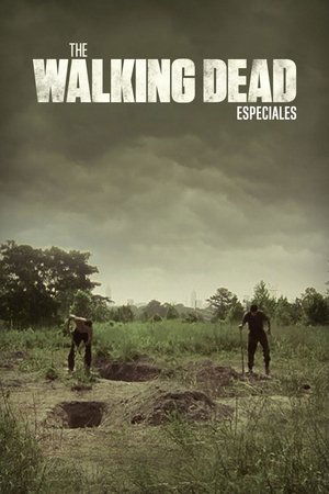 The Walking Dead
