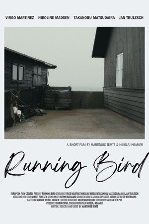 Running Bird
