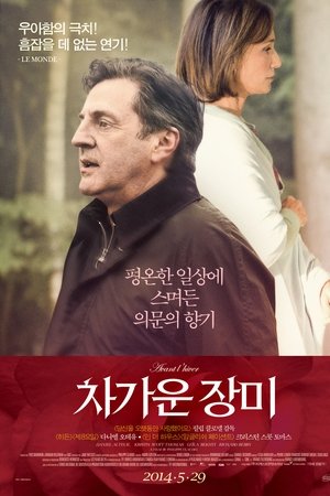 차가운 장미
