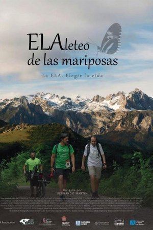 EL Aleteo de las mariposas