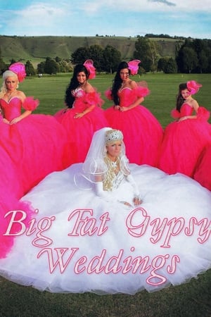My Big Fat Gypsy Wedding