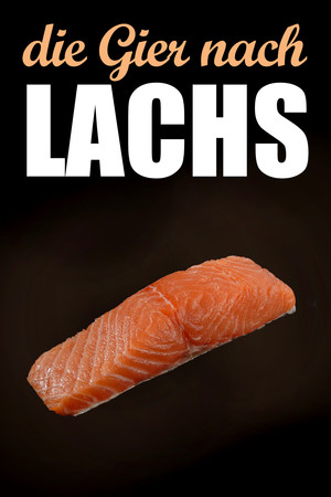 Die Gier nach Lachs poster