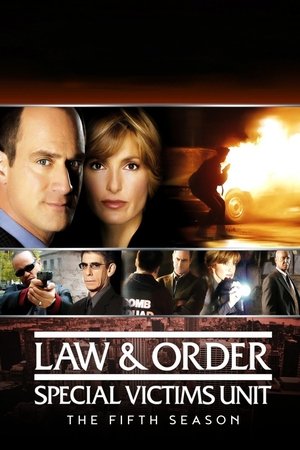 New York Unité Spéciale