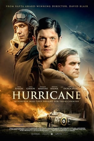 Imagem Hurricane