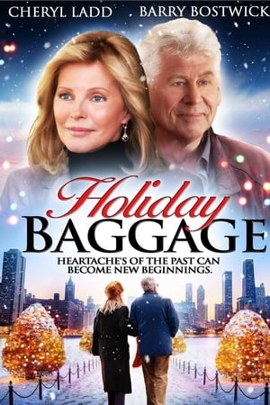 Holiday Baggage