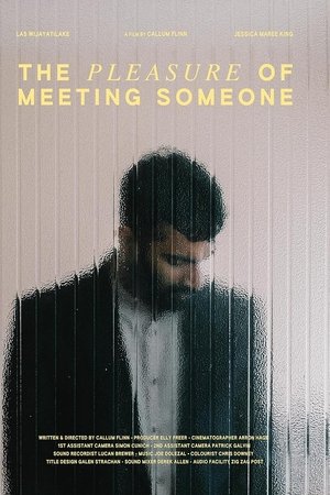 The Pleasure of Meeting Someone