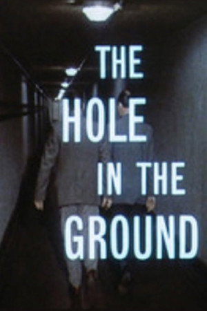 The Hole In The Ground poster