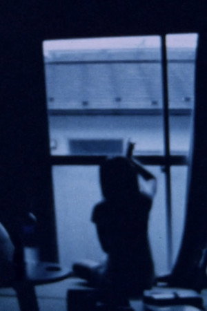 Elephant Died poster