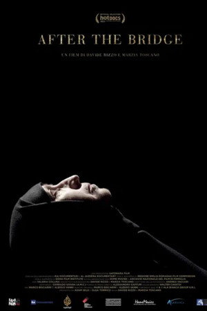 After the Bridge poster