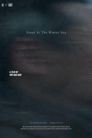 Stand at the Winter Sea poster