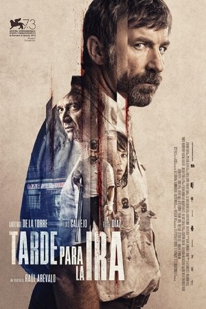 Tarde para la ira (2016)