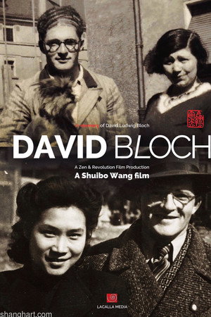 Who Is David Bloch poster