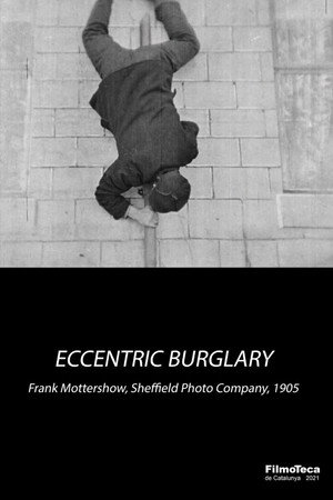 An Eccentric Burglary poster