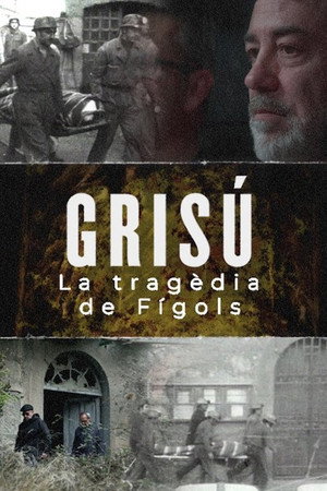 Grisú, la tragèdia de Fígols poster