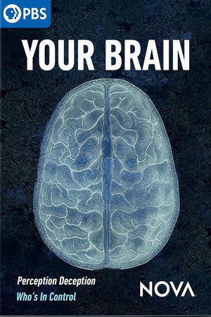 Your Brain Your Brain