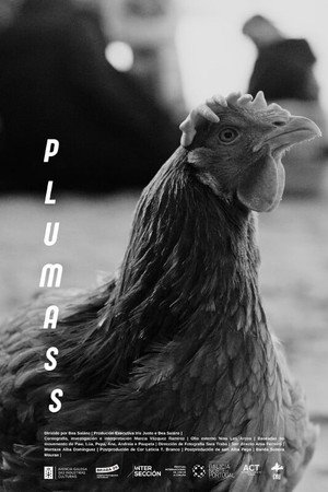 Plumass poster