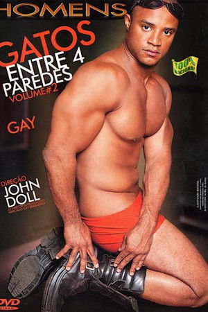 Gatos Entre 4 Paredes 2