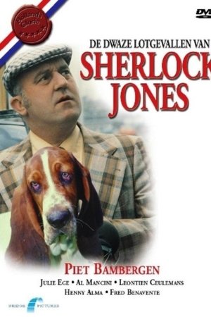 De dwaze lotgevallen van Sherlock Jones