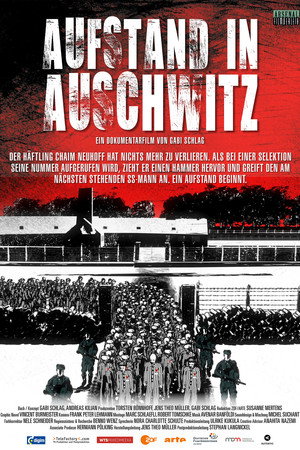 Aufstand in Auschwitz poster