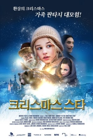 크리스마스 스타