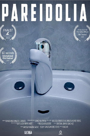 Pareidolia poster