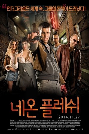 네온 플레쉬