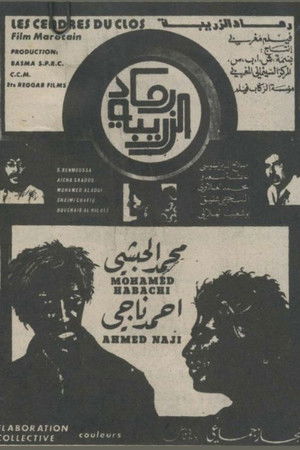 Cinders of the Vineyard