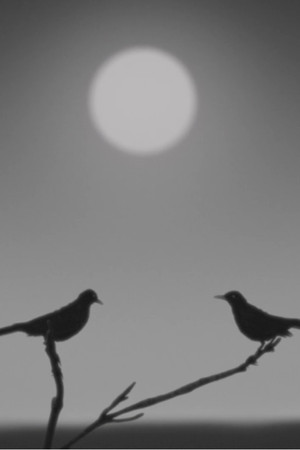 Birdsong poster