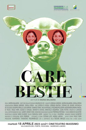 Care Bestie poster