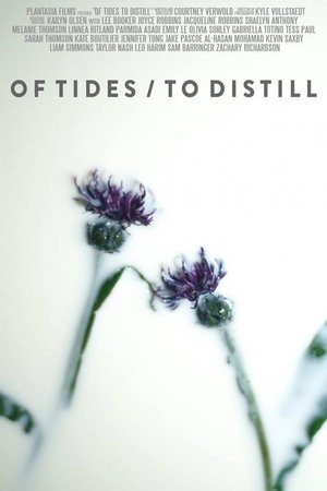 Of Tides/To Distill