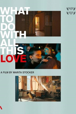 What To Do With All This Love - The Zakaria Paliashvili Music School in Tbilisi poster