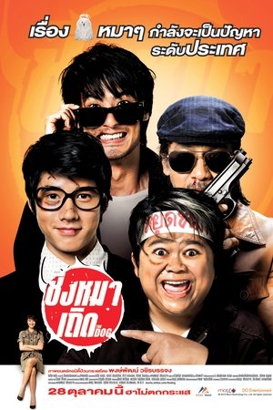 ชิงหมาเถิด