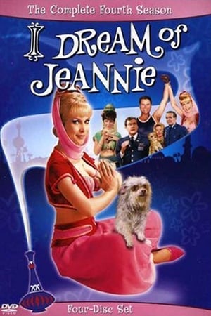 Z4t3xgn7zin6118pdlpr7bw3ybu