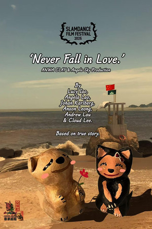 Never Fall in Love. poster