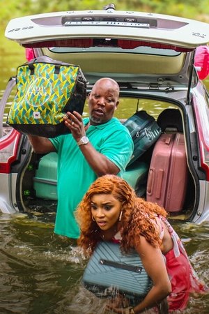 Vacaciones desastrosas