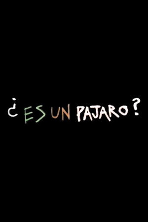 Es Un Pajaro poster