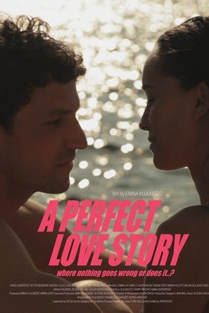 A Perfect Love Story Where Nothing Goes Wrong or Does It…?