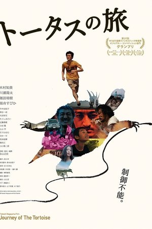 Journey of the Tortoise