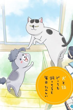 개와 고양이 둘 다 키우면 매일 즐거워