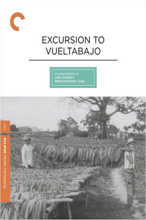 Excursión a Vueltabajo