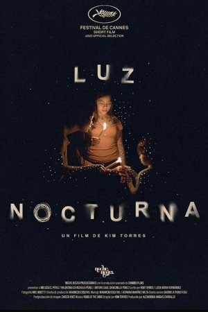 Luz Nocturna