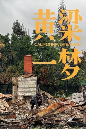 美洲大宝荐：黄粱一梦