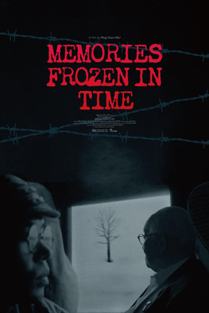 Memories Frozen in Time poster