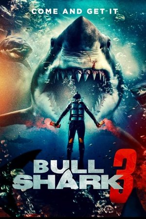 Bull Shark 3