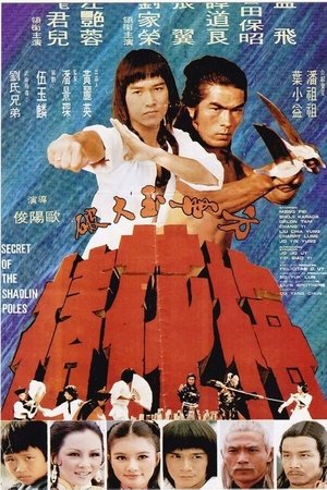 Secret of the Shaolin Poles