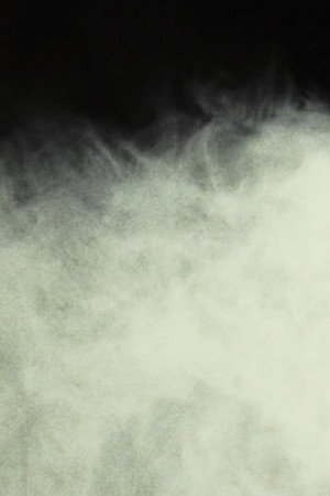 An Example of Lee-Roth Fog, Isolated Under Laboratory Conditions poster