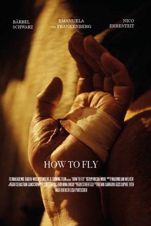 How to Fly