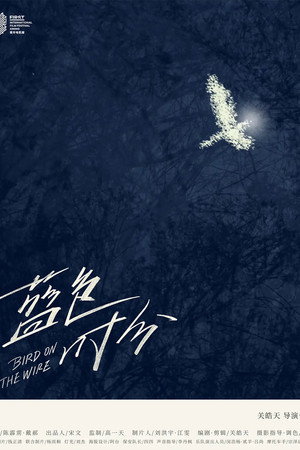 Bird on the Wire poster